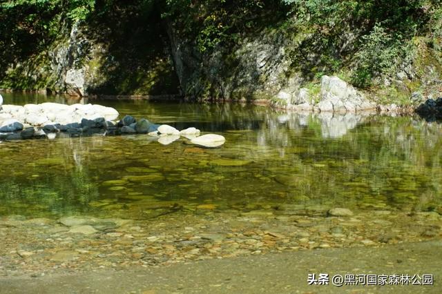 绿野仙踪+山水秘境！快来黑河抓住夏天的尾巴，奔赴一场绿意清凉之约