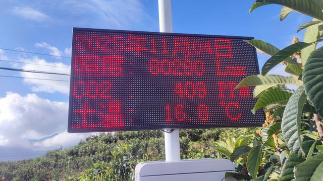 路过枇杷园，领略智能化