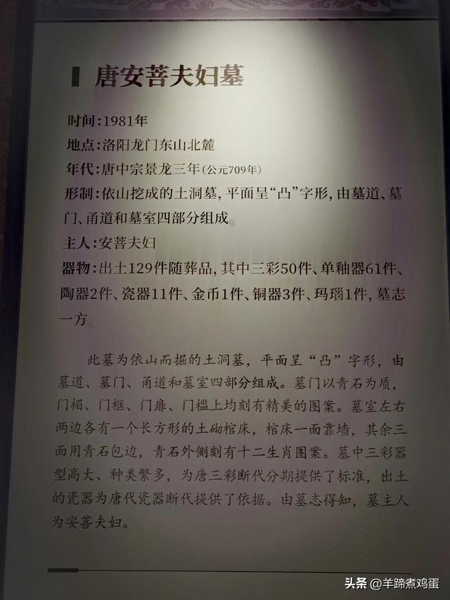 洛阳古墓博物馆