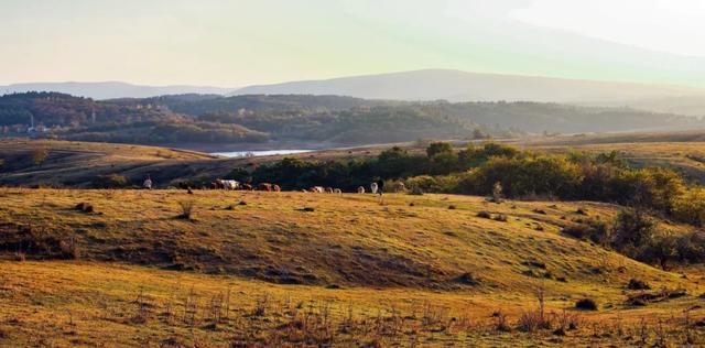 一键收藏!明光南部2025年秋景大赏