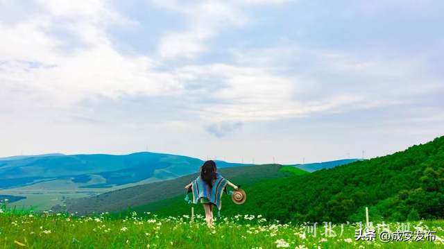 【河北“凉”策——解码夏日清凉经济热效应】沉浸式体验河北避暑N种方式