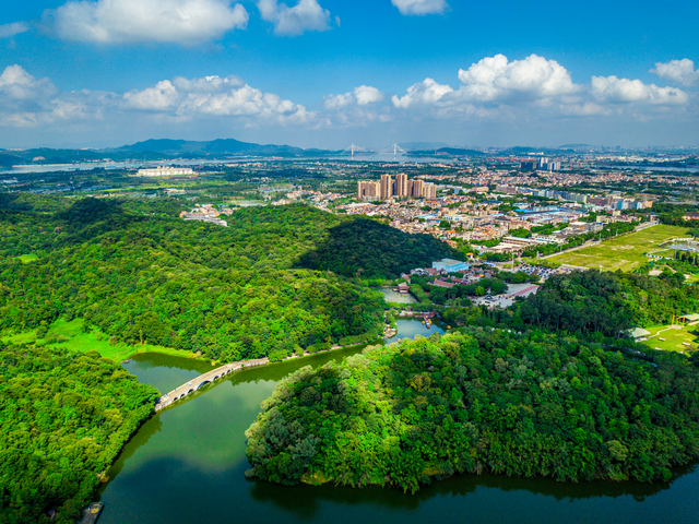 龙腾湾区，武动世界：顺德开启世界级旅游目的地新篇章