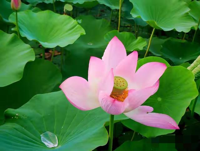 封神级别的微信昵称，好听到爆，个个惊艳。