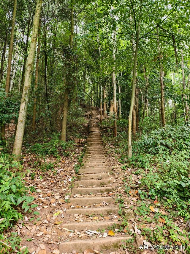 成都徒步（66）·邛崃篇⑥皮缝峡谷·皮缝古道
