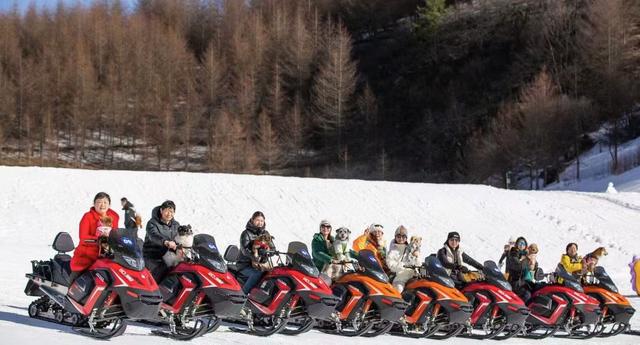 企鹅伴滑、与鹿同行，来神农架原始森林仙境尽情撒欢