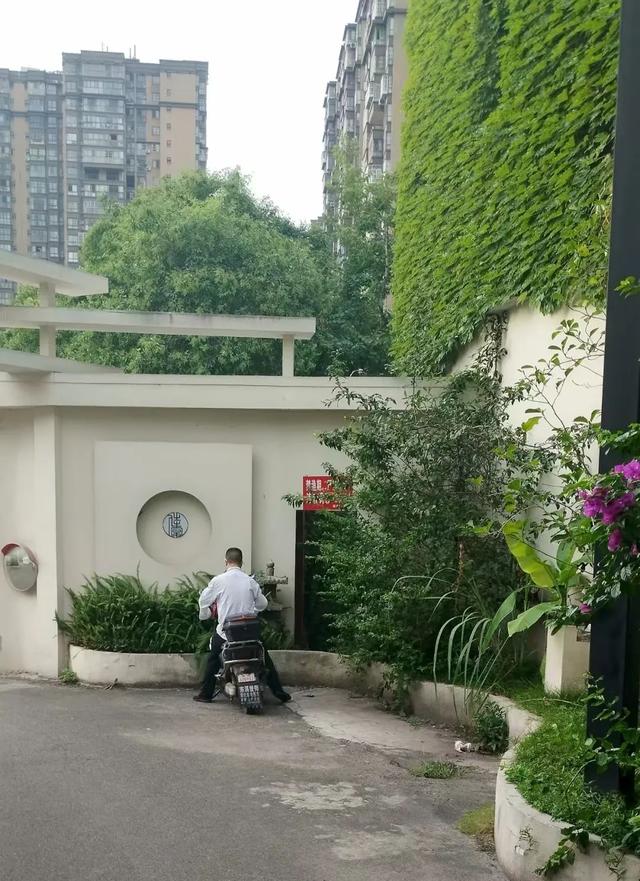 成都简阳：重访东溪桥——在汗水中打捞被遗忘的龙头
