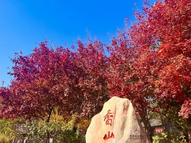 北京香山红叶季来了，但99%的人都去错了时间