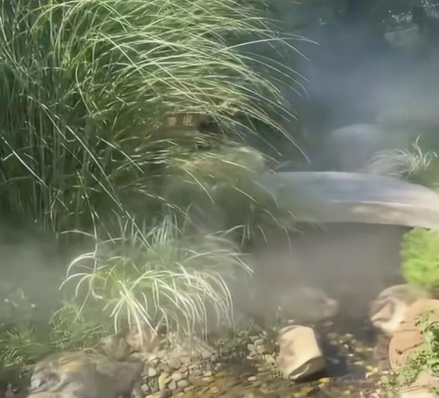 清凉秘境！襄阳避暑打卡点！