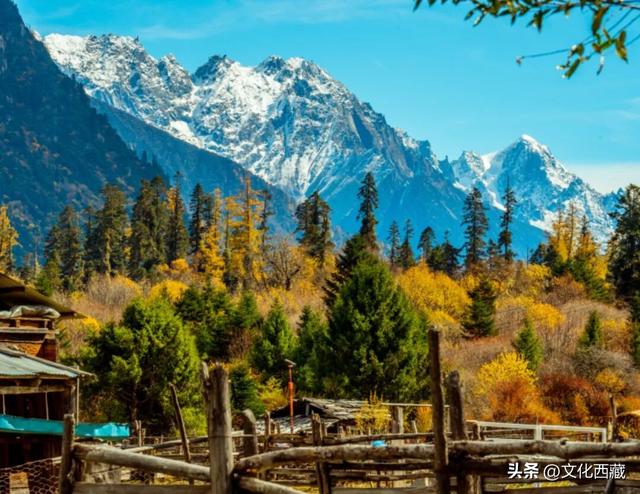 挖到国内巅峰秋景！半山秋色半山雪，不来西藏这里真的亏大了！