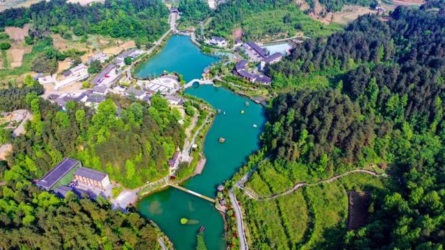 乡游黔中 · 凤冈县 进化镇丨银杏鎏金映古寨,高腔茶灯醉秋韵