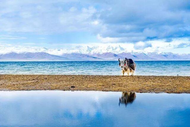 从世界最高峰到最深峡谷，西藏的极限之美