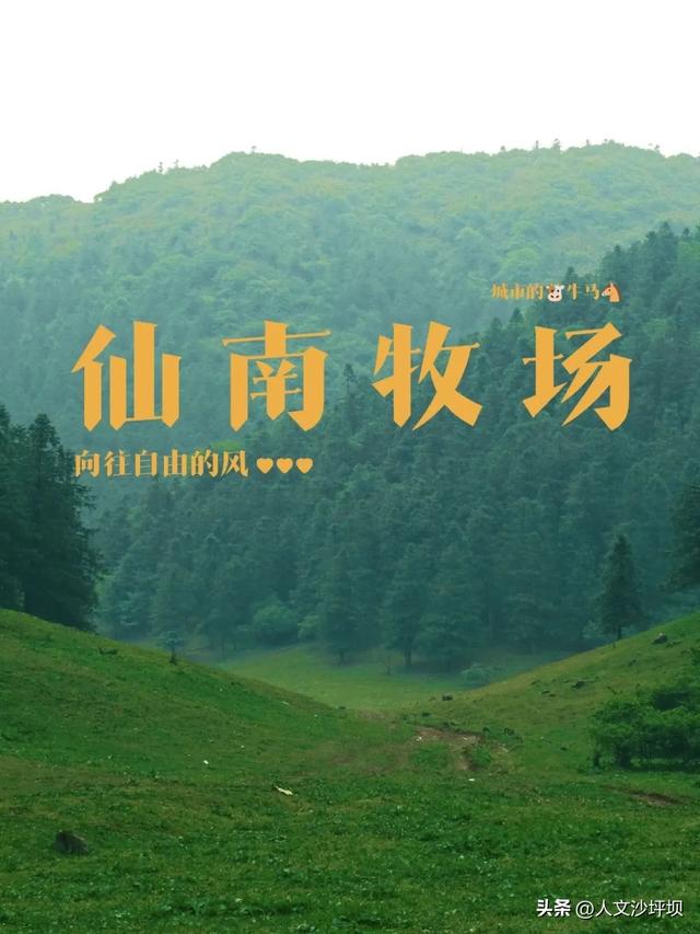 先收藏！不用去新疆，重庆有自己的“阿勒泰”！