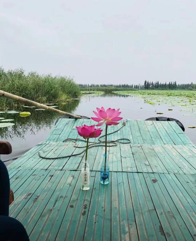 山东枣庄三天二夜深度游玩指南