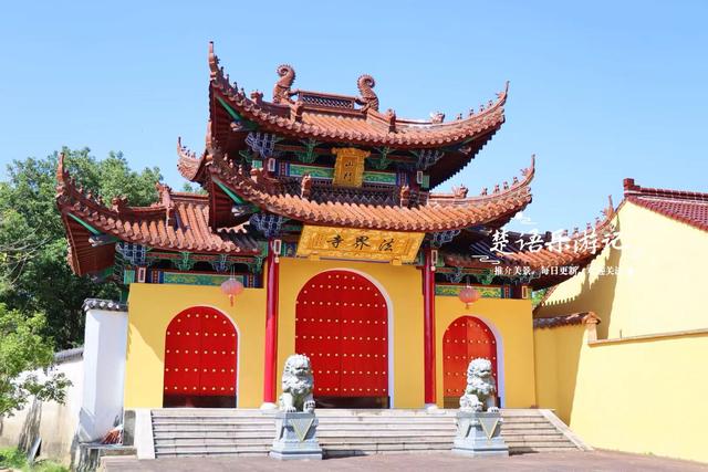 绍兴上虞发现了一处水杉林，面积不大但是清幽而美丽，适合周末游