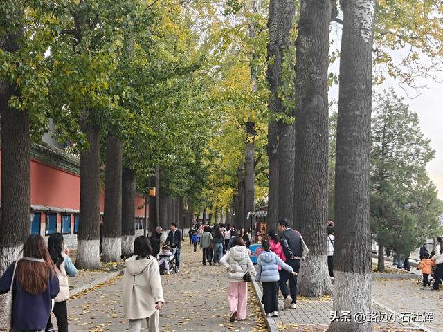 从童年嬉闹到诗意园林——一个北京土著的北海公园记忆