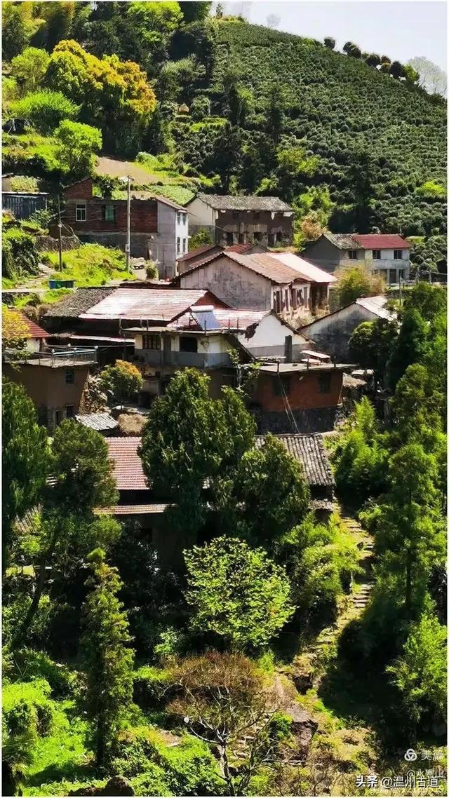 走走浙江这条被遗忘的千年古道,揭开越王古道古村落的神秘面纱!