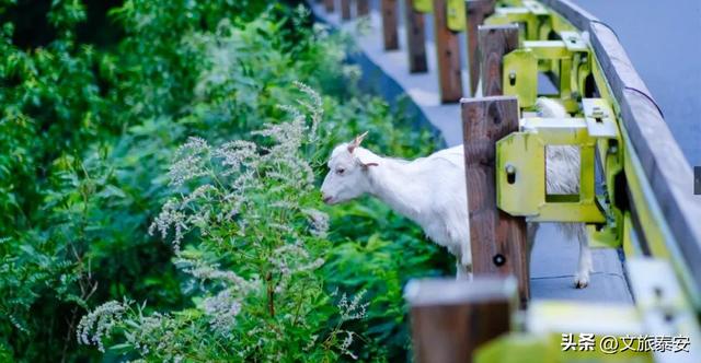 环境温度25℃！在这踩着28亿年的彩虹石玩水，连水雾都是马卡龙色！