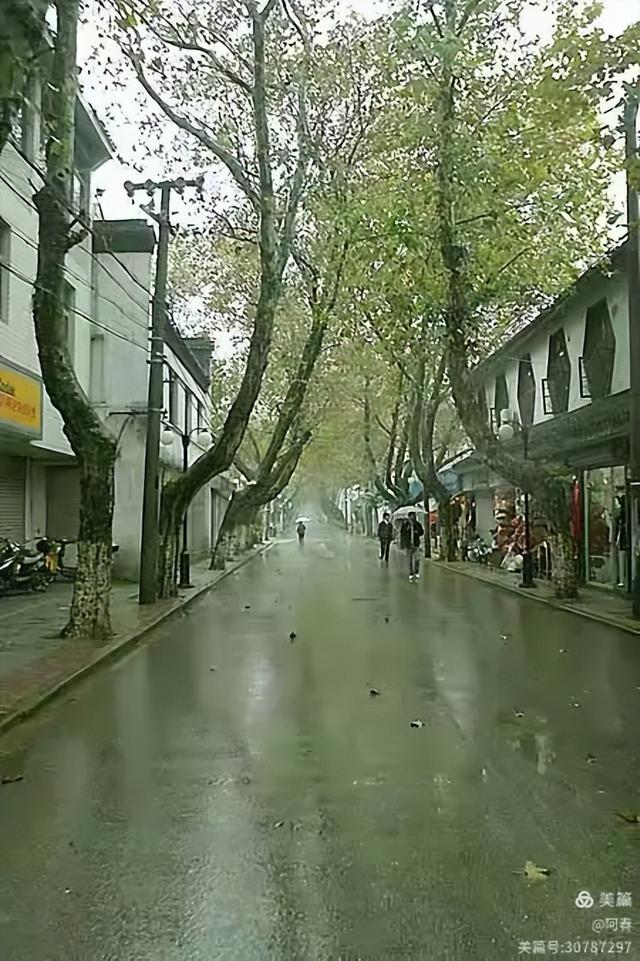 雨中看姑苏