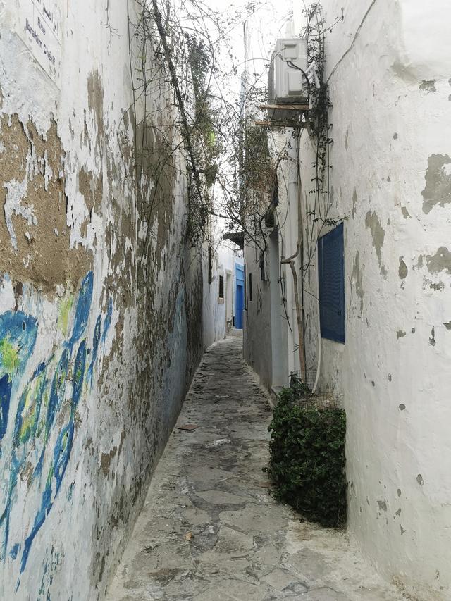 地中海旅游胜地：突尼斯的哈马马特与苏塞（北非三国游/突4）