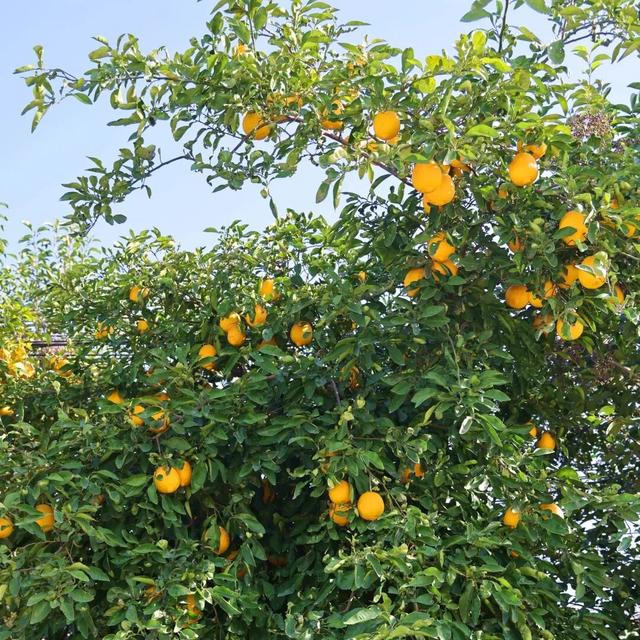 丹徒这几条路，真不想让太多人知道！