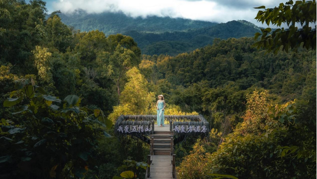享受周末慢时光！五指山美景+美食打卡指南来啦→