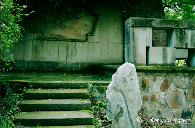 北碚公园竟是"大熊猫"命名地，原来藏着这么多秘密