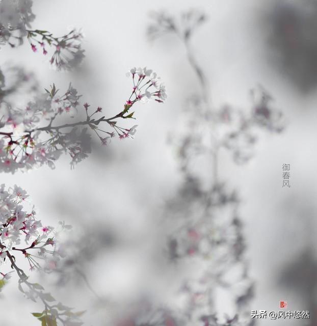 上联：朵朵祥云迎晓日，诚邀下联