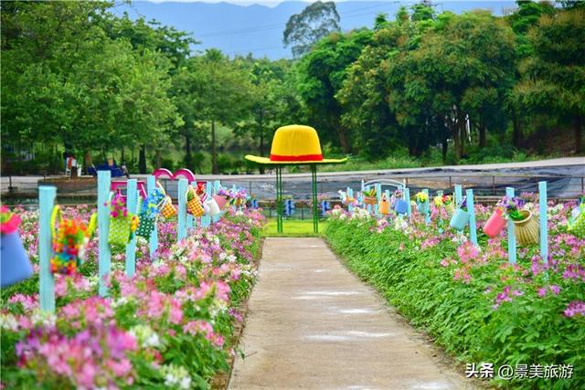 国庆相约卡玛花世界：花海中邂逅秋日浪漫，花篮小径中留下倩影