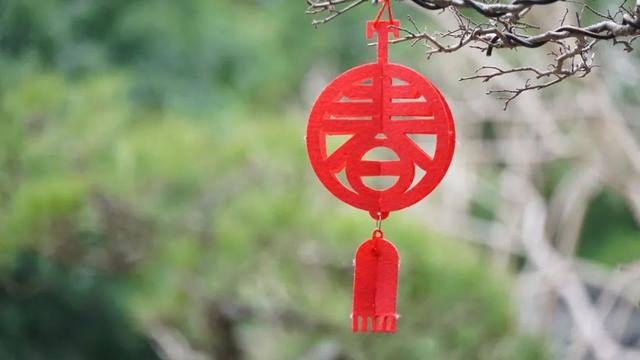 100副春节对联，全是美好祝愿，挑一副挂在家里吧