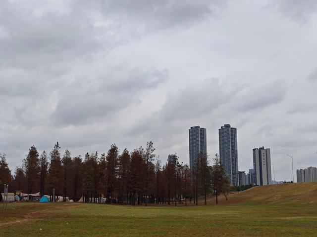佛山真好逛——火红的小布村