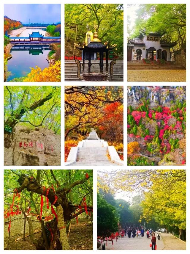 国庆倒计时！青檀秋色正登场，古寺、集市与祈福，等你抓住假期尾巴！