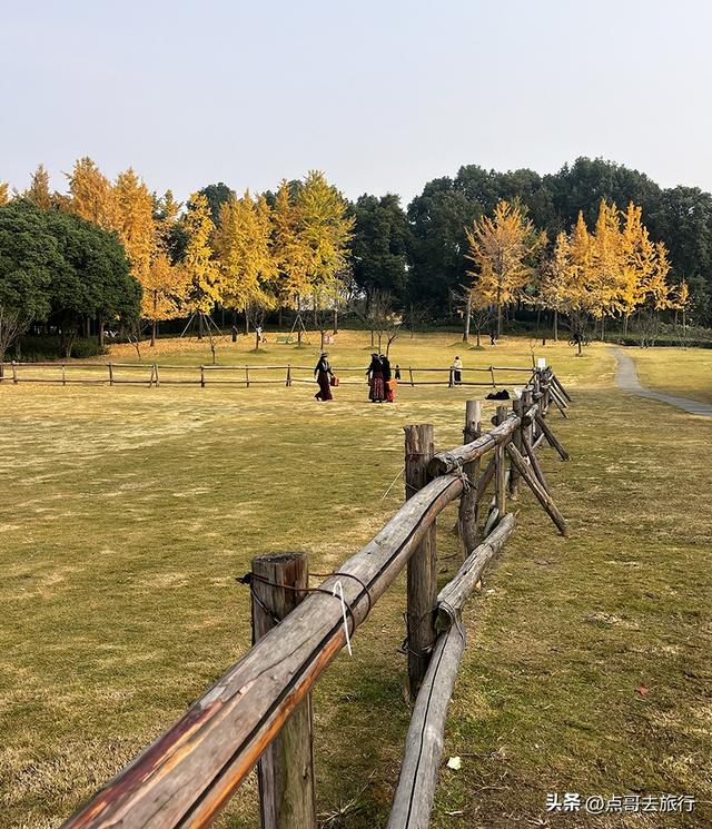 成都城市中的草原牧场，彩林比阿勒泰还美，公交车地铁直达！