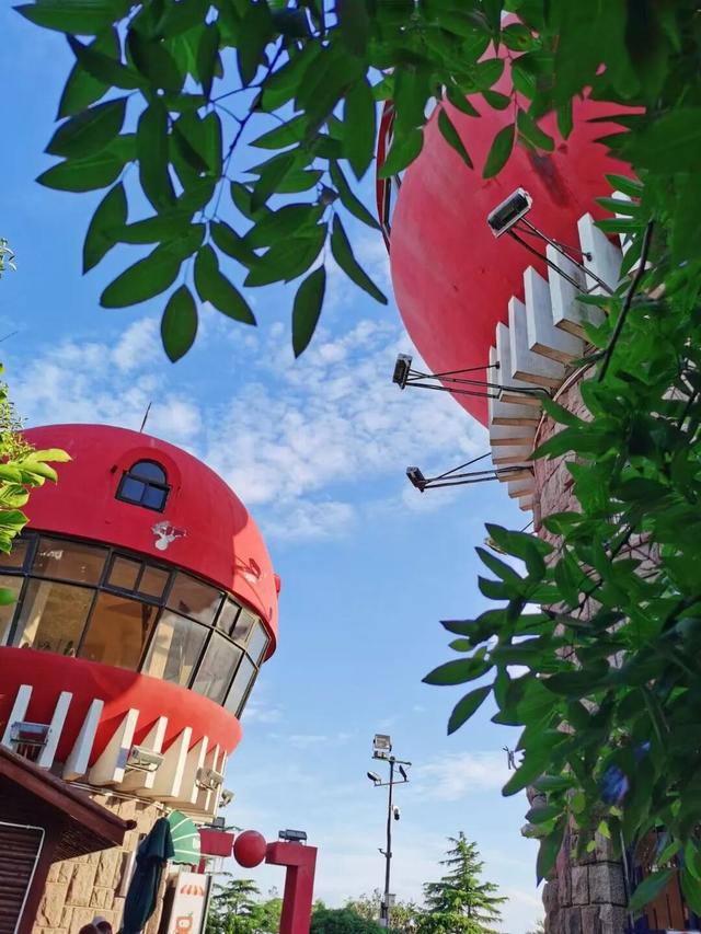 市南的2026，应该这样过...