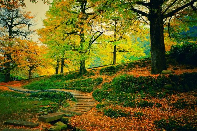 长沙私藏的五个红叶仙境，拍摄到最后一个美到词穷！