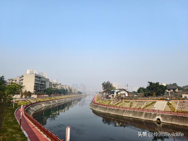四川行(75)广汉②金雁湖公园·黑塔街·龙居寺