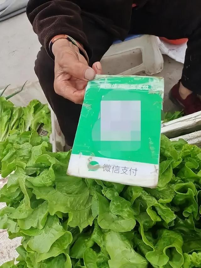 我国无现金时代需警惕？为何越是发达的国家，越不流行移动支付？