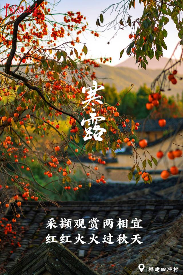 寒露｜假期收官 秋色正酣 奔赴下一场诗与远方