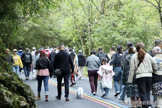 国庆假期第二天，官鹅沟迎来旅游高峰