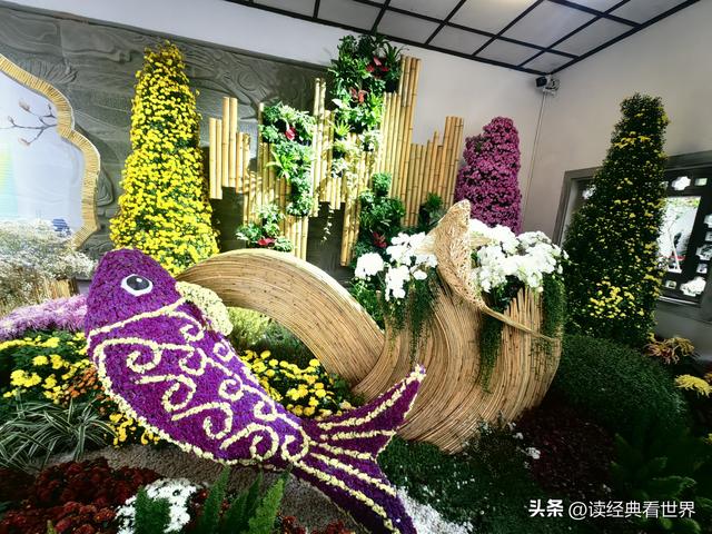 杭州植物园的菊花展——一场关于菊花的饕餮盛宴（一）
