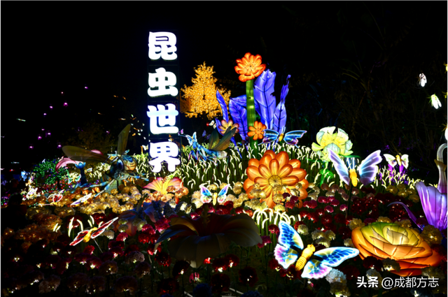 近10万平！首届非遗千灯游园会来了！4号线直达→