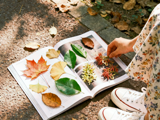低头捡个秋！我收藏了整个烟台的秋天
