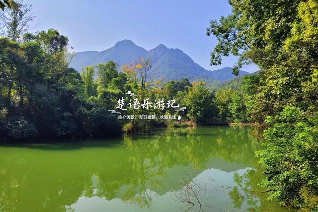 宁波奉化的秋天童话世界，粉黛花海唯美浪漫，周边近10处风景更美