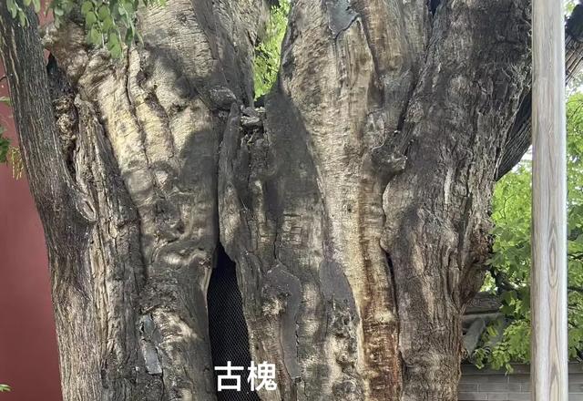 山西及周边随意行之伏羲 16