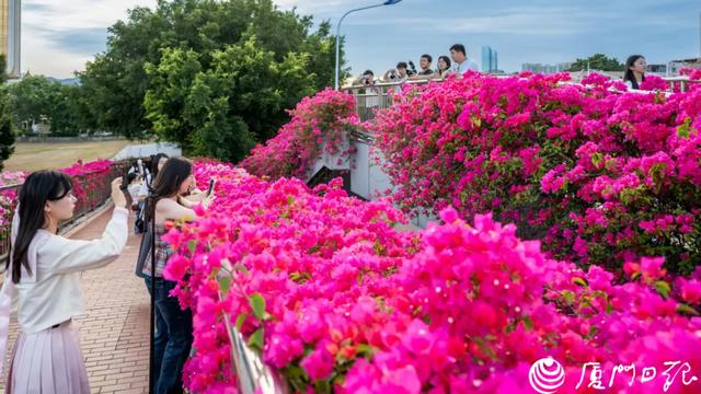厦门又一网红出片点位,上新!美成偶像剧取景地→
