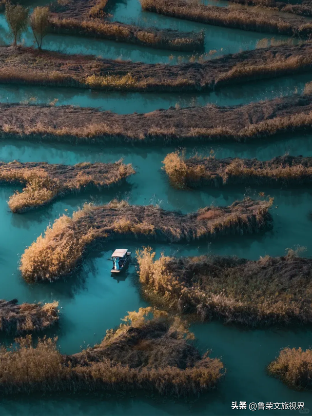 盐城秋日封神攻略：解锁东方湿地的诗意与壮阔