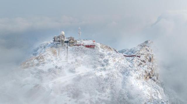 雪后初霁 泰山云海雾凇相映成趣