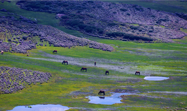 四川省普格县历史沿革及行政区划