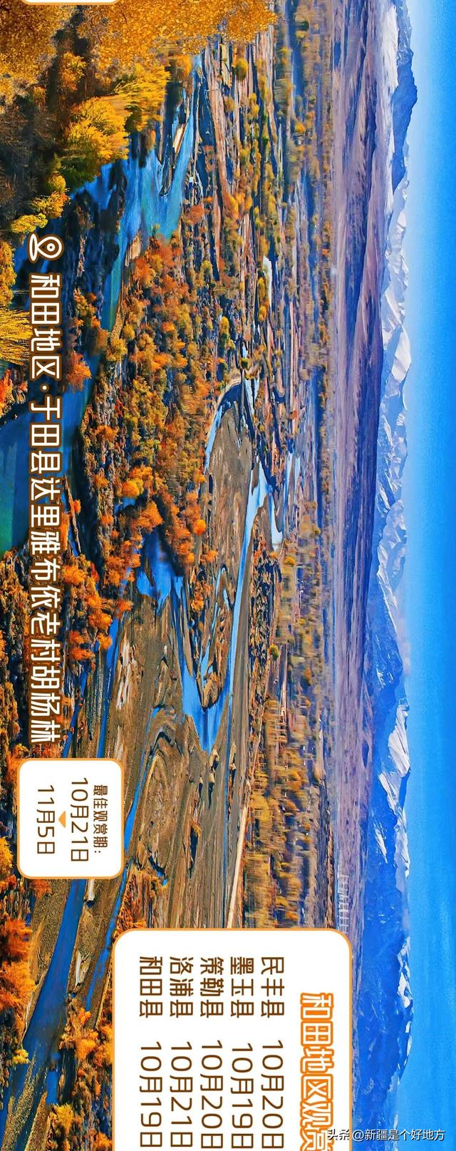 新疆赏胡杨最全攻略