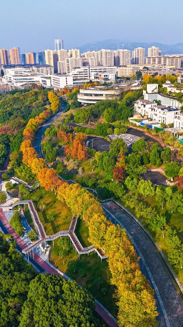 打卡心形湖！重庆这个公园美成油画