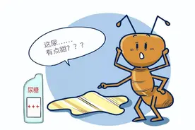【关注健康】糖尿病人三餐怎么吃？根据身高就能算出来！按这3步顺序进餐，吃饱吃好还不升糖图片